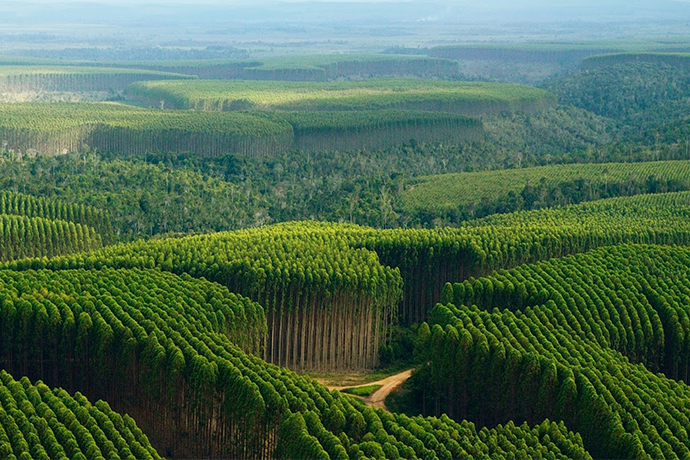 mitos-e-verdades-capa